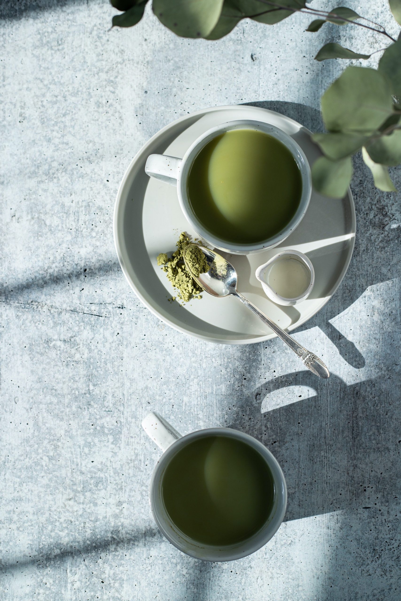 Great Tea Matcha